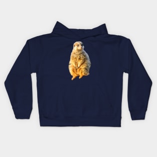 Meerkat on guard Kids Hoodie